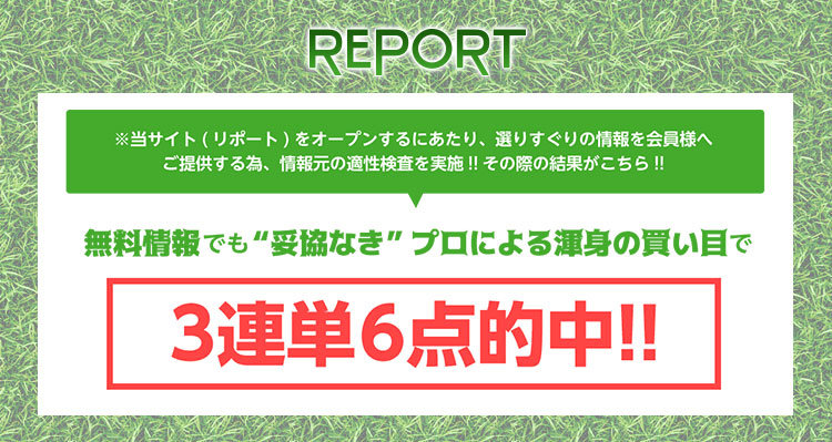 リポート(REPORT)